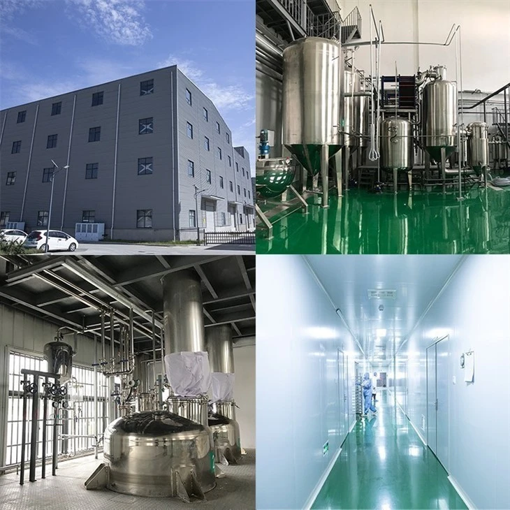 Dried Spinach Powder suppliers